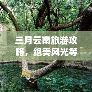 三月云南旅游攻略,絕美風(fēng)光等你來(lái)探!