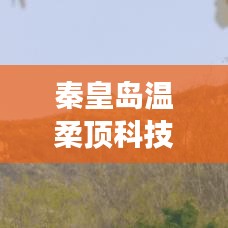 秦皇島溫柔頂科技參與汽車(chē)安全救援用品國(guó)標(biāo)制定