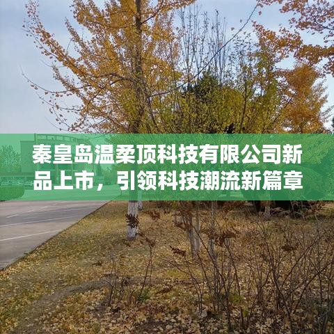 秦皇島溫柔頂科技新品發(fā)布，科技潮流新篇章開(kāi)啟