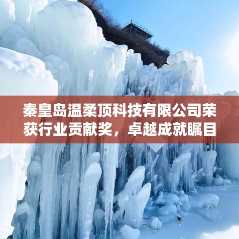 秦皇島溫柔頂科技榮獲行業(yè)貢獻(xiàn)獎(jiǎng)，引領(lǐng)創(chuàng)新風(fēng)潮，卓越成就矚目