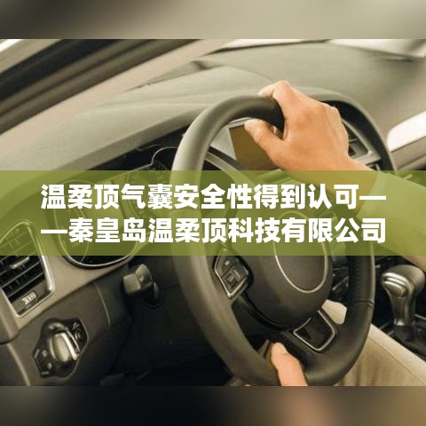 秦皇島溫柔頂科技引領(lǐng)行業(yè)新標(biāo)桿，氣囊安全性備受認(rèn)可