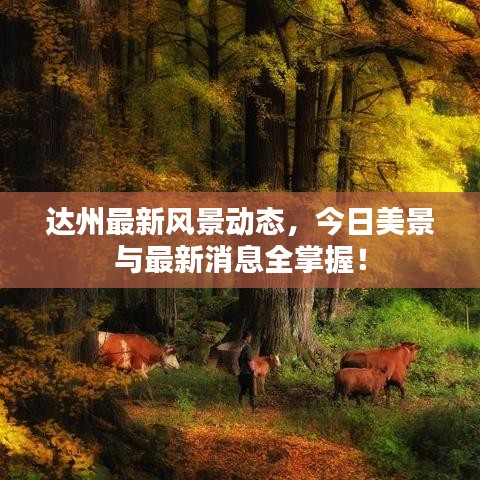 達(dá)州最新風(fēng)景動(dòng)態(tài),今日美景與最新消息全掌握!