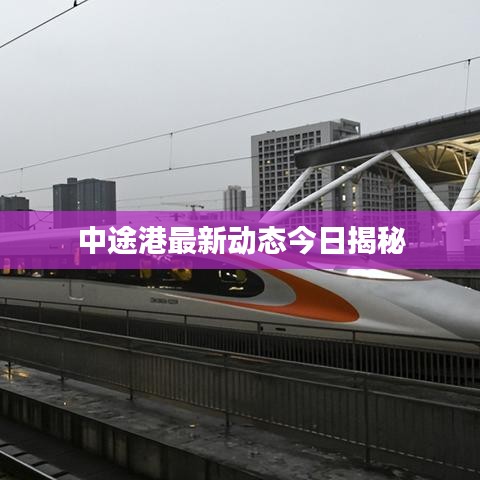中途港最新動(dòng)態(tài)今日揭秘