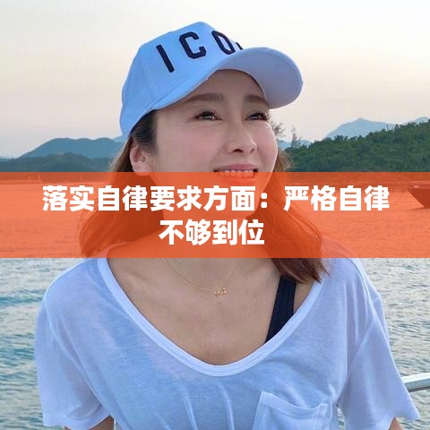 落實自律要求方面:嚴格自律不夠到位
