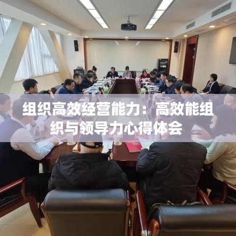 組織高效經(jīng)營能力:高效能組織與領(lǐng)導(dǎo)力心得體會