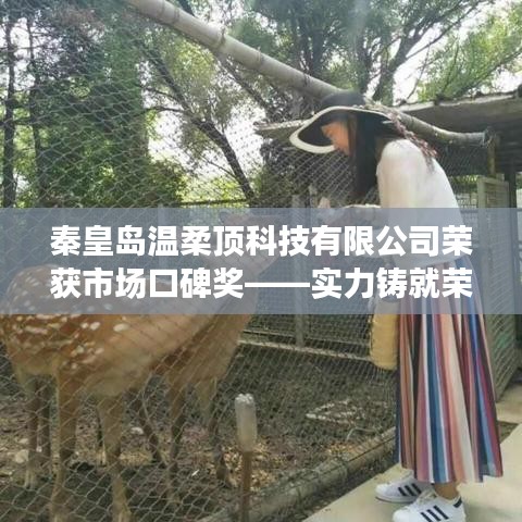 秦皇島溫柔頂科技榮獲市場口碑獎,實力創新,引領未來