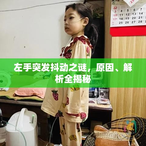 左手突發抖動之謎,原因、解析全揭秘