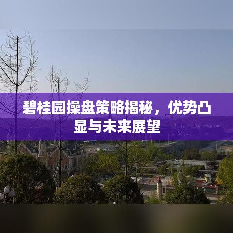 碧桂園操盤策略揭秘,優(yōu)勢凸顯與未來展望