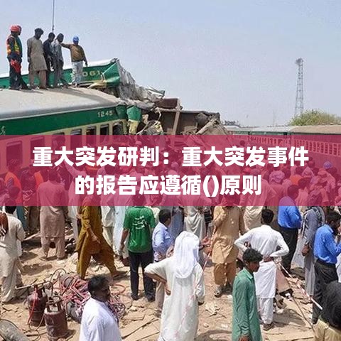 重大突發(fā)研判:重大突發(fā)事件的報告應遵循()原則