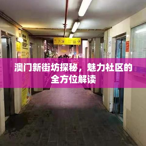 澳門新街坊探秘,魅力社區的全方位解讀