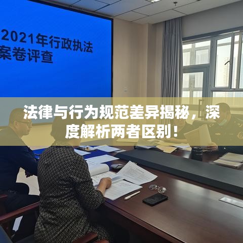 法律與行為規范差異揭秘,深度解析兩者區別!
