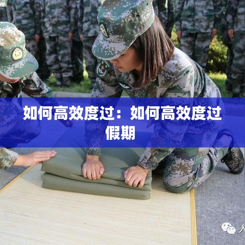 如何高效度過:如何高效度過假期