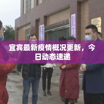 宜賓最新疫情概況更新,今日動態速遞