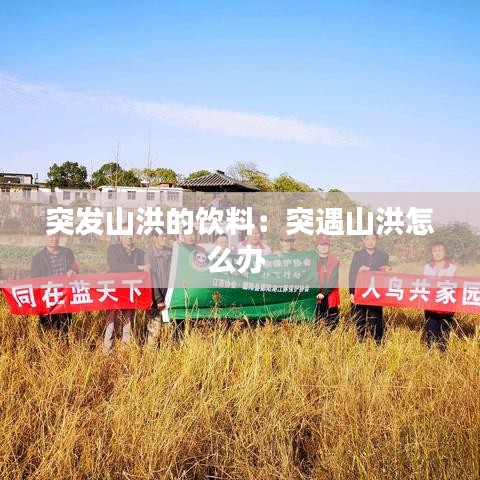 突發(fā)山洪的飲料:突遇山洪怎么辦