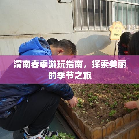 渭南春季游玩指南,探索美麗的季節(jié)之旅