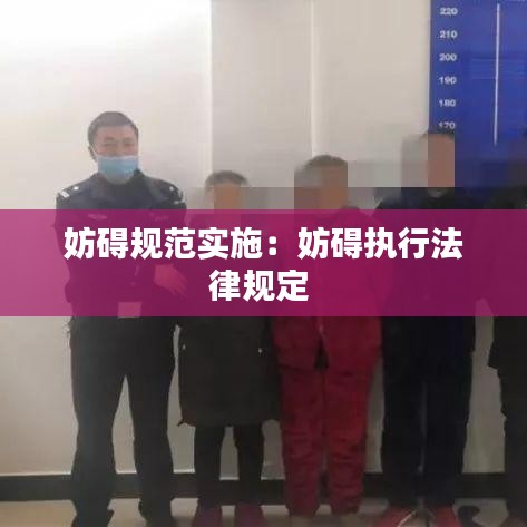 妨礙規(guī)范實施:妨礙執(zhí)行法律規(guī)定