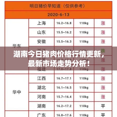 湖南今日豬肉價(jià)格行情更新,最新市場(chǎng)走勢(shì)分析!