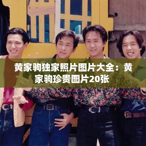 黃家駒獨家照片圖片大全:黃家駒珍貴圖片20張