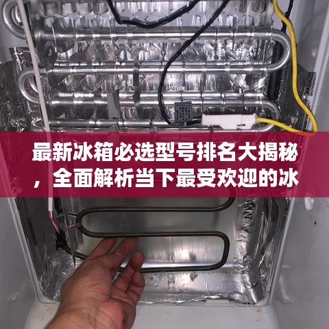 最新冰箱必選型號排名大揭秘,全面解析當下最受歡迎的冰箱型號!