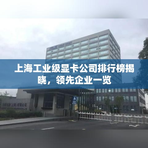 上海工業級顯卡公司排行榜揭曉,領先企業一覽