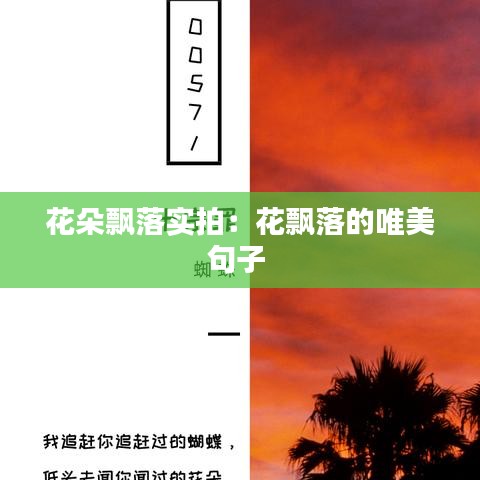 花朵飄落實拍:花飄落的唯美句子