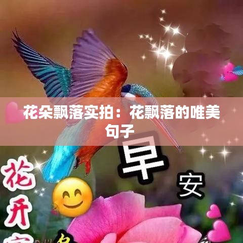 花朵飄落實拍:花飄落的唯美句子