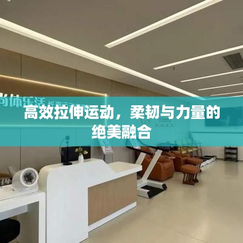高效拉伸運動，柔韌與力量的絕美融合