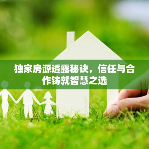 獨(dú)家房源透露秘訣,信任與合作鑄就智慧之選