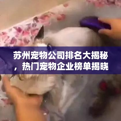 蘇州寵物公司排名大揭秘,熱門寵物企業榜單揭曉!