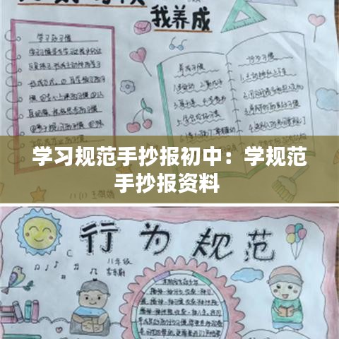 學習規范手抄報初中:學規范手抄報資料