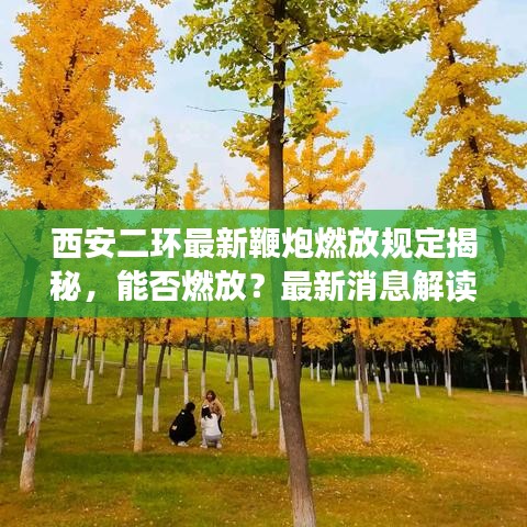 西安二環最新鞭炮燃放規定揭秘,能否燃放?最新消息解讀!