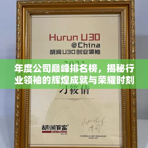 年度公司巔峰排名榜,揭秘行業領袖的輝煌成就與榮耀時刻