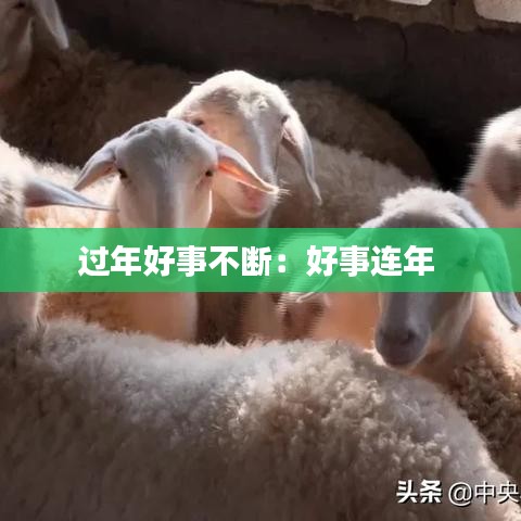 過年好事不斷:好事連年
