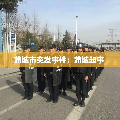 蒲城市突發(fā)事件:蒲城起事