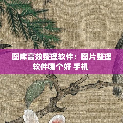 圖庫高效整理軟件:圖片整理軟件哪個好 手機