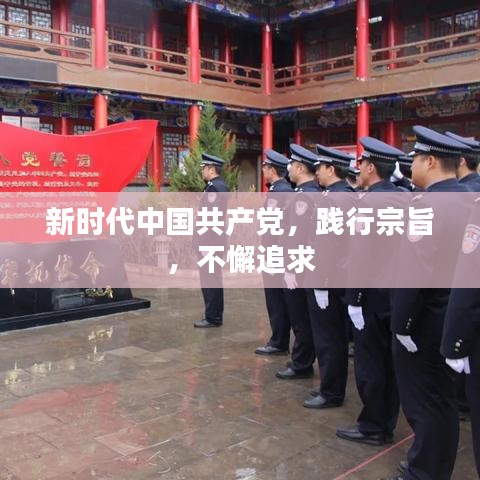 新時代中國共產(chǎn)黨,踐行宗旨,不懈追求