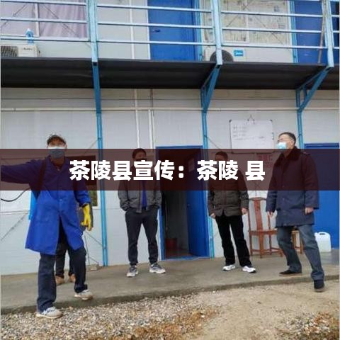 茶陵縣宣傳:茶陵 縣