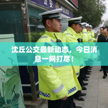 沈丘公交最新動態,今日消息一網打盡!