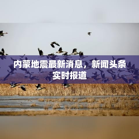內(nèi)蒙地震最新消息,新聞?lì)^條實(shí)時(shí)報(bào)道