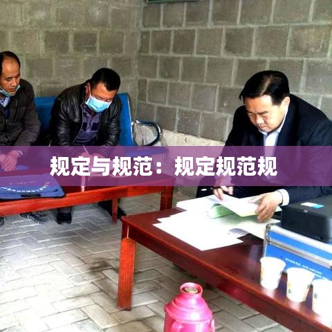 規定與規范:規定規范規