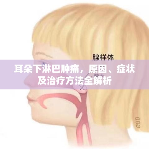 耳朵下淋巴腫痛,原因、癥狀及治療方法全解析
