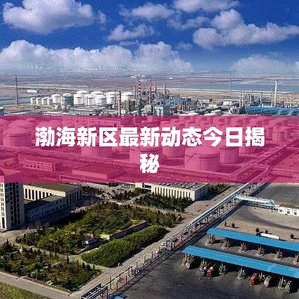 渤海新區最新動態今日揭秘