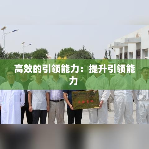 高效的引領能力:提升引領能力