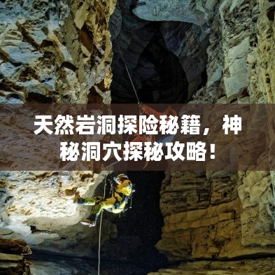 鷙鳥不群 第3頁