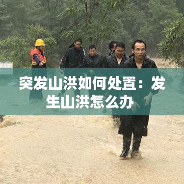 囫圇吞棗 第3頁
