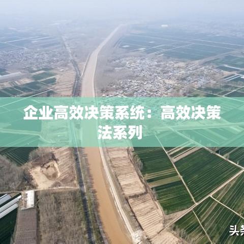 企業高效決策系統:高效決策法系列