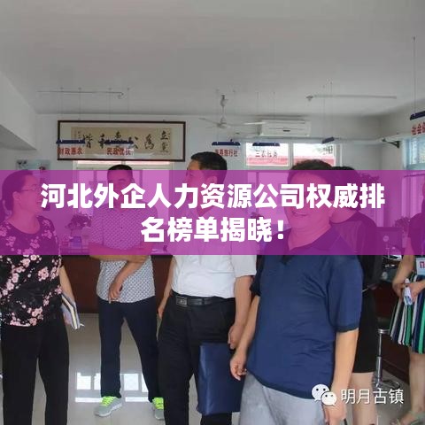 河北外企人力資源公司權(quán)威排名榜單揭曉!