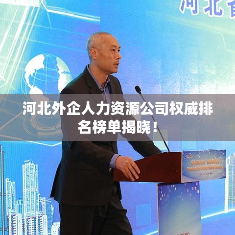河北外企人力資源公司權(quán)威排名榜單揭曉!