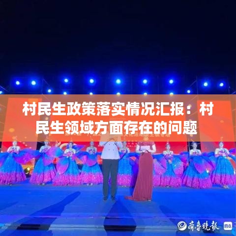村民生政策落實情況匯報:村民生領域方面存在的問題