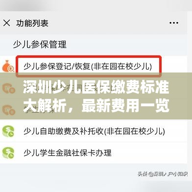 深圳少兒醫(yī)保繳費(fèi)標(biāo)準(zhǔn)大解析,最新費(fèi)用一覽